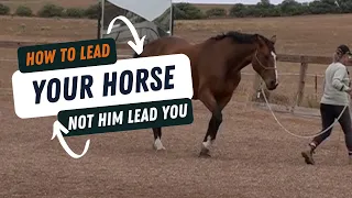 How To Lead Your Horse And Not Have Your Horse Lead You