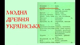 НЕ ЛИШЕ "ФІЛІЖАНКА"! МОДНІ ДРЕВНІ УКРАЇНСЬКІ СЛОВА. Лекція історика Олександра Палія