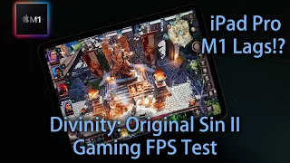 Game that destroys iPad Pro M1 2021! Divinity: Original Sin 2 Gaming FPS Test