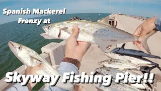 || Florida Fishing || Catching Spanish Mackerels at Skyway Fishing Pier !!
