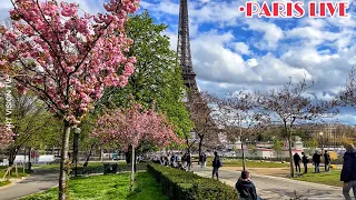 [🇫🇷PARIS WALK] Bonjour Paris Around the Eiffel Tower Live Streaming 03/April/2024