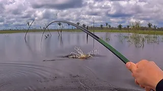 ESSA ISCA É APELAÇÃO!!! É TÃO CABULOSA QUE ATÉ NA VARINHA DE MÃO ELA DETONA!!! Pescaria.