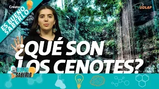 ¿Qué son los Cenotes? | Es Bueno Saberlo