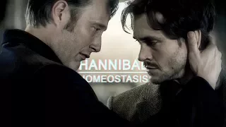 Hannibal || Homeostasis