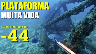 Hunter's Pesca Sub - Três dias em Alto Mar - Muita Vida e Belas Capturas