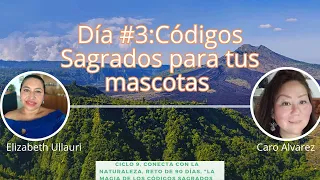 Dia#3 activa Códigos Sagrados para tus mascotas🐈🐩🐕🦮🐕‍🦺🐎🐦🕊️🦋🐝🐈 🦋. Reto90