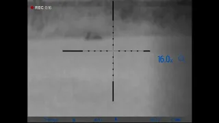 pulsar digisight n450 lrf