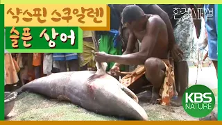 모잠비크해협의 상어사냥ㅠㅠ 환경스페셜 ‘상어의 슬픈 초상’ / KBS 20120307 방송