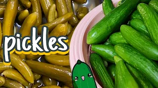 Most Wonderful Pickled CuCumber😍🥒| homemade Barrel pickles