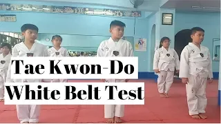 Tae Kwon-Do White Belt Test Philippines
