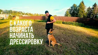 С какого возраста дрессировать щенка