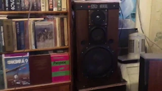 Звук из переделанных советских колонок 25АС-033