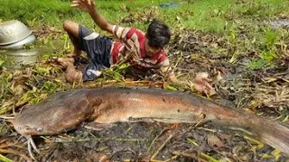 Really Amazing Hand Fishing  Traditional boy Catching Big fish By Hand  Smart boy Fishing Video.