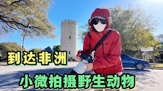 2025集:小微飞行16小时到达非洲，纳米比亚好冷呀，第一次拍摄野生动物