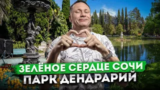 ВПЕРВЫЕ В ДЕНДРАРИИ - мои впечатления! Парк Дендрарий - Зелёное сердце Сочи