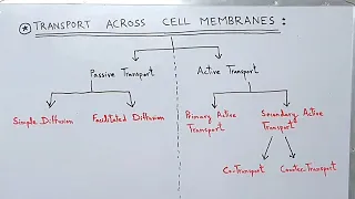 Transport across the Cell Membrane / Plasma Membrane | Active and Passive Transport
