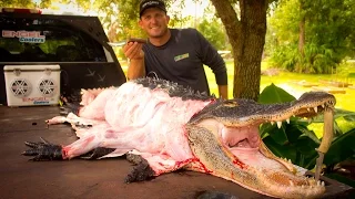 {GRAPHIC} How to Butcher a Massive Alligator