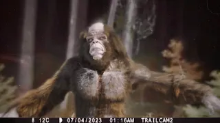 Most Disturbing Creatures Caught on Trail Cam 2023