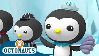 Octonauts - Peso's Big Race | Full Episodes | Cartoons for Kids