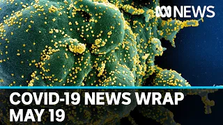 Coronavirus update: The latest COVID-19 news for Tuesday May 19 | ABC News
