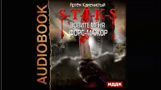 S-T-I-K-S. Зовите меня форс-мажор | Артем Каменистый (аудиокнига)