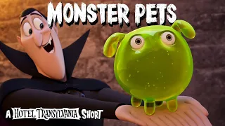 HOTEL TRANSYLVANIEN 4 - Monsters Pets