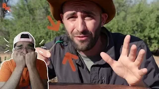 REACTING TO BRAVE WILDERNESS!! *STUNG by a TARANTULA HAWK*