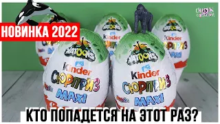 Киндер 🐢Natoons 2🌿 MAXI 2022 | Вторая серия | Kinder Натунс Сюрприз