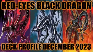 RED-EYES BLACK DRAGON DECK PROFILE (DECEMBER 2023) YUGIOH!