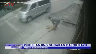 Curi Hewan Peliharaan di Medan Marak, Seekor Anjing Peliharaan Dicuri dengan Cara Disiksa -BIM 29/01