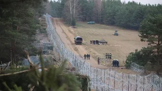 Grenzschutz in Belarus räumt Lager für Geflüchtete an Grenze zu Polen