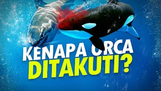 Etika Orca #AlamSemenit