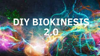 DIY Biokinesis 2 0