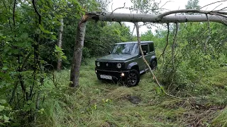 Грибное приключение. Буксуем. Проходим препятствия на  Suzuki Jimny.