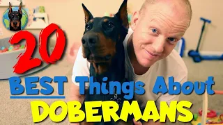 The 20 BEST Things About Owning a Doberman in 2023