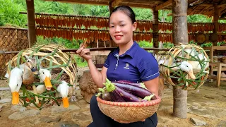 Knitting Bamboo Baskets Harvest Ducks & Eggplants Goes to the market to sell - Buy more ducklings