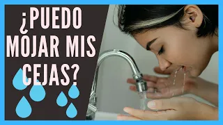 ⚠️ Cuándo se pueden MOJAR 💦 las cejas después del MICROBLADING