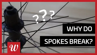 Why Do Spokes Break?