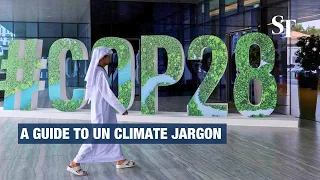 What is COP? A guide to United Nations' climate jargon