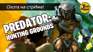 Хищник Против ● Охота На Стриме ● Predator: Hunting Grounds