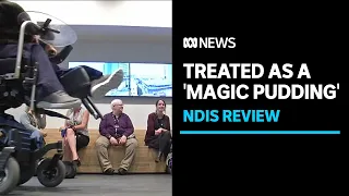 NDIS treated as a 'Magic Pudding' by governments and disability service providers | ABC News