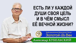 Есть ли у каждой души своя цель, и в чём вообще смысл её вечной жизни?