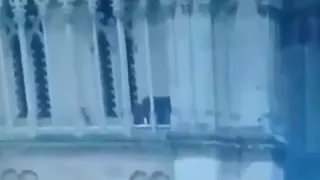 Who the hell was this person on the Notre Dame cathedral during fire?