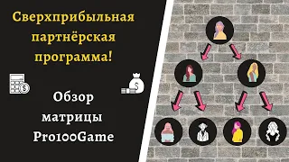 Денежная матрица Pro100game Мощный матричный маркетинг для быстрого заработка в интернете