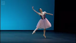 Maya Schonbrun Coppelia