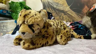 Save Our Space 18” Cheetah Plush Unboxing & Review