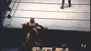 Undertaker vs. Ultimate Warrior - Body Bag Match