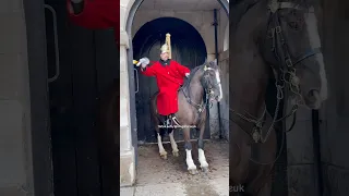 King’s Guard Smashes Emergency Buzzer for Help with Spoked Horse