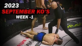 MMA & Boxing Knockouts I September 2023 Week 1