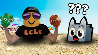 Pet Simulator X BUT at the BEACH...